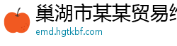 巢湖市某某贸易维修网点